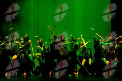 SHOW_02234.jpg